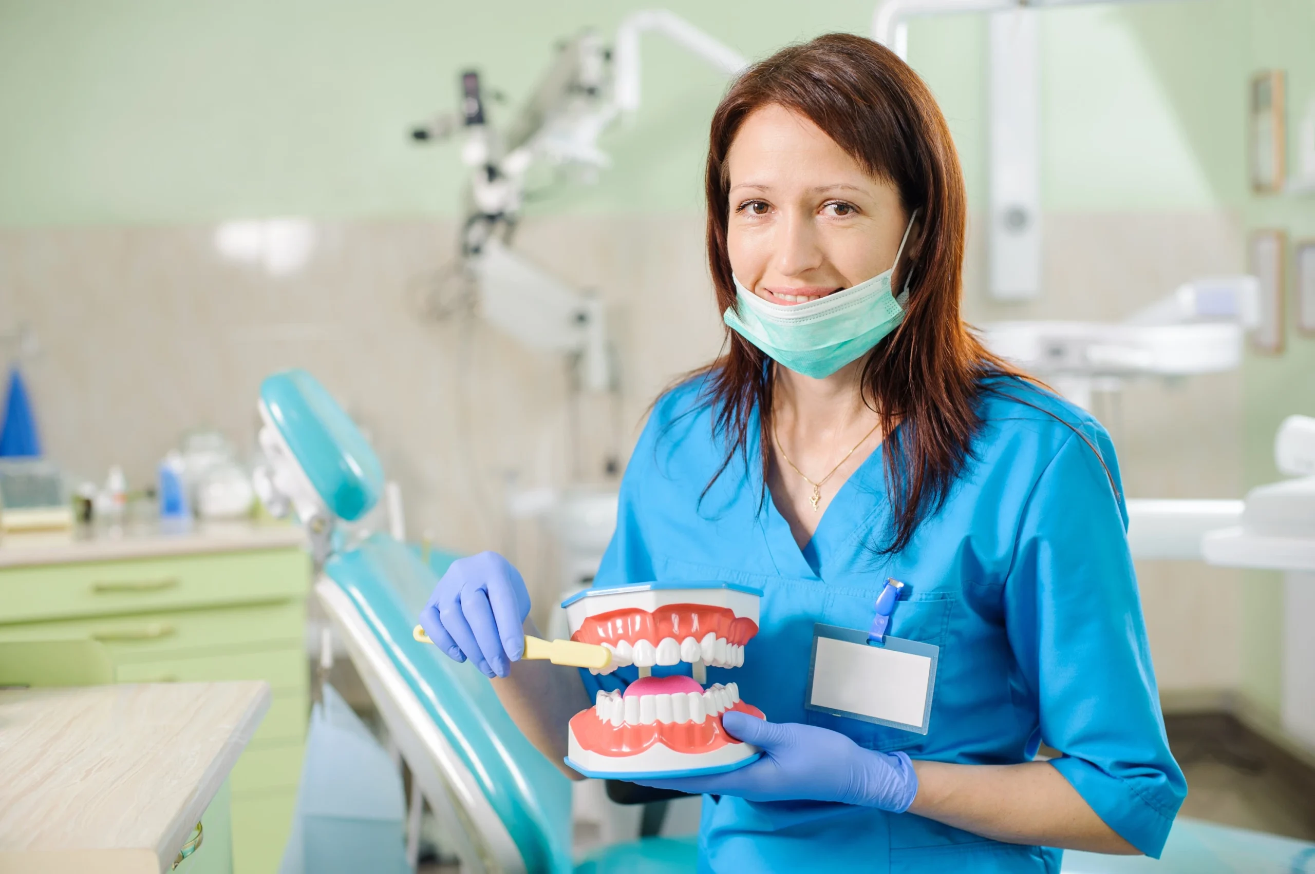 Dental Assistant Beautiful professional female dentist showing dental jaw model and toothbrush in dentist's office. Dental care and treatment.